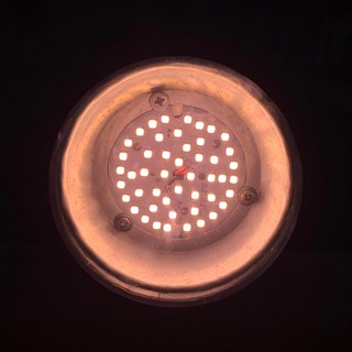 JIUNPEY 君沛光電 植物燈泡 15W E27, 加強型光譜, 1顆