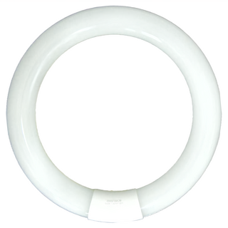 旭光 LED T9環型燈管 15W 6500K, 晝光色, 1個