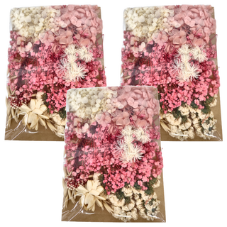 A-ONE 匯旺 乾燥花 C10 火樹銀花 3入 Set