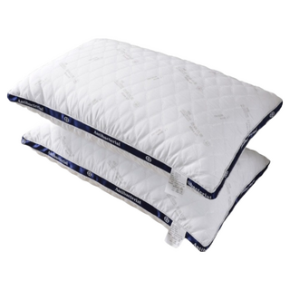 Betrise 貝翠絲 銀離子防蹣抗菌 3D 立體可水洗舒眠枕, 45 x 75cm, 2個, 白色