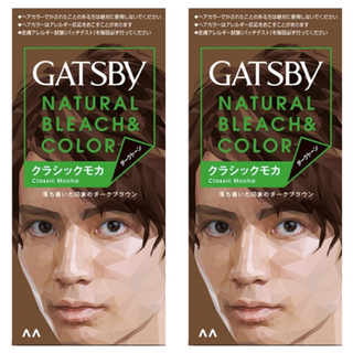 GATSBY 無敵顯色染髮霜 雙氧乳70ml+染髮霜35g, 摩卡深棕, 2盒