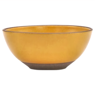 CHIPS BRICKS 丼碗 飯碗 沙拉碗 黃色 日本美濃燒 陶瓷碗, 1個