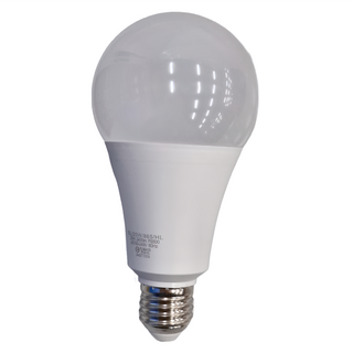 TATUNG 大同 LED燈泡 20W, 晝光色, 1個