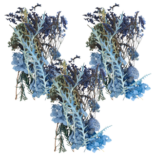 A-ONE 匯旺 乾燥花 B04 矢車菊藍 3入