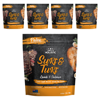 ABSOLUTE HOLISTIC 全齡犬 鮮食肉片, 放牧羊 + 國王鮭魚 + 綠貽貝 + 牛磺酸, 100g, 5包