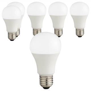 EVERLIGHT 億光 超節能LED球泡燈 9W, 白光, 6顆