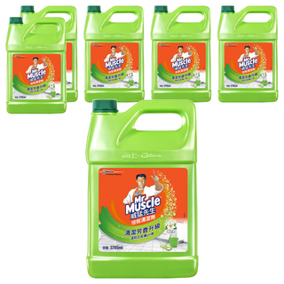 Mr Muscle 威猛先生 地板清潔劑加侖桶 清新早晨, 3.785L, 6瓶