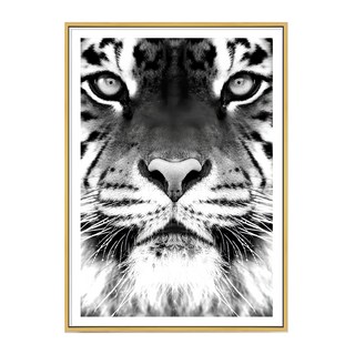 獨行獵者 老虎 白色, 金色框