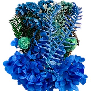 A-ONE乾燥花 Set 矢車菊藍 天然乾燥花