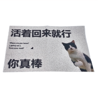 臥室地墊 PVC材質 矩形 絲圈材質 防滑耐磨, D款 活著回來就行 白色, 1個