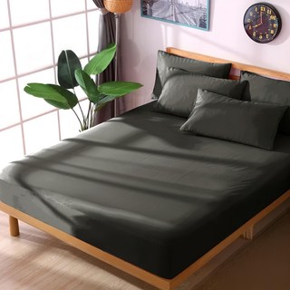 LoveCity 寢城之戀 台灣製專業級吸濕排汗網眼100%防水防蹣 床包式保潔墊