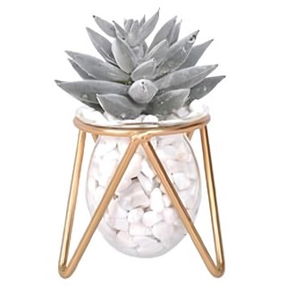 eclat 匠心花藝玻璃金工室內藝術擺飾仿真花藝組 含白石 總高12~17cm 鐵架7.5 x 7.5 x 7.5cm 瓶7.5 x 6.5 x 6.5cm 400g, 仙人指, 1組