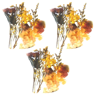 A-ONE 匯旺 浮游花DIY花材包, 天然植物乾燥花 12 x 12 CM, 黃昏映彩