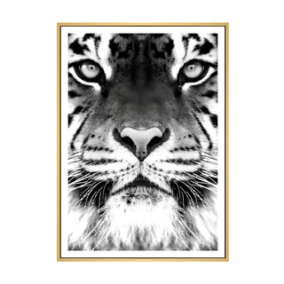 獨行獵者 老虎 木色