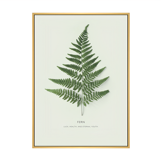 躍動的生命力 蕨類植物壁掛藝術畫, 木色