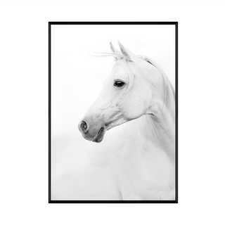 白馬照片 1個 實木內框 PS進口外框 高密度背板, 黑色