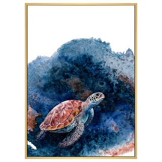 BOLUO GALLERY 菠蘿選畫所 水彩世界 海龜 ANSD3402D 掛畫, 40 x 30cm, 木色