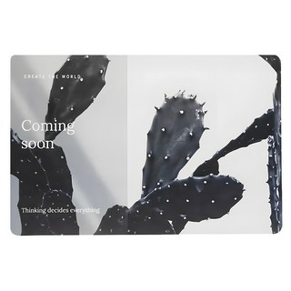 iINDOORS 防水隔熱餐桌墊 黑色仙人掌, 45 x 30cm, 1個