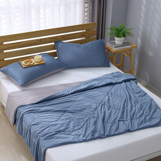 Ishur 伊舒爾 玩色雙面冰凍被 100%聚酯纖維, 藍莓慕斯