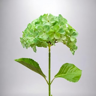 FLORAL M 夏日京都大型繡球夢幻翡翠仿真花花材, 綠色, 1個