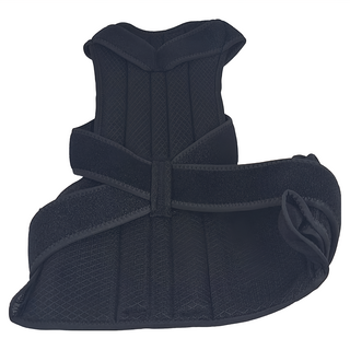 AOLIKES 奧力克斯 矯背 3110 黑色, XXL, 1個