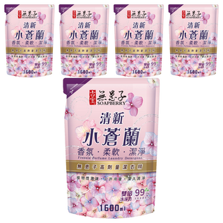 SOAPBERRY 古寶無患子 全新升級濃縮洗衣精補充包 小蒼蘭 香氛柔軟潔淨, 1.6L, 5包