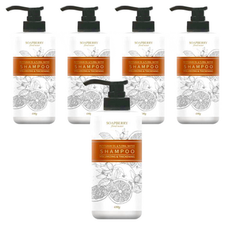 SOAPBERRY 古寶無患子 豐盈蓬鬆純露洗髮精 苦橙 穩定頭皮 維持健康狀態 深層清潔 保濕 髮絲輕盈, 480g, 5瓶