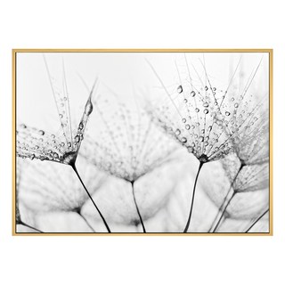 雨過天晴 蒲公英藝術畫, 木色