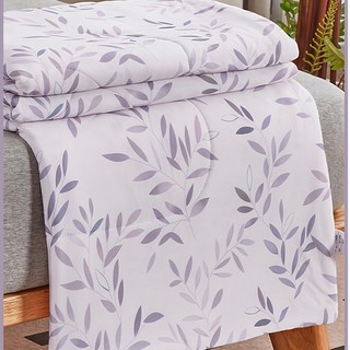 寢城之戀 裸睡系列 涼感紗冰絲冰冰被, 1入, 淺笑