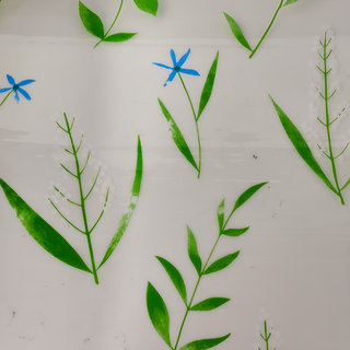 超大抗UV隔熱防窺自黏玻璃貼, 295 x 60cm, 青青小草