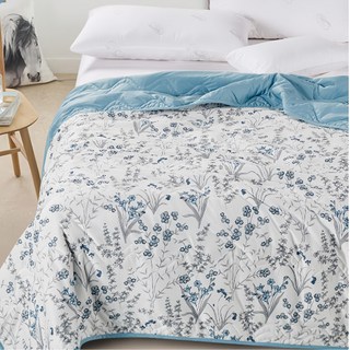 Aaron 艾倫生活家 海島針織手工蠶絲夏涼被, 藍枝