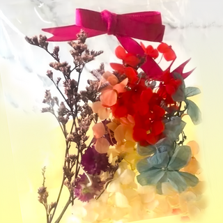 A-ONE 匯旺 浮游花DIY花材包，天然植物乾燥花, 絢麗紅舞