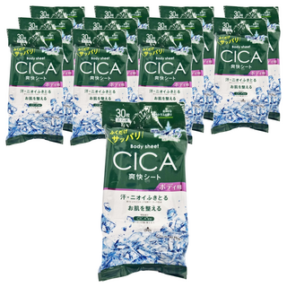 Life-do.Plus 超爽快濕紙巾身體用 積雪草薄荷柑橘香 30張, 1袋