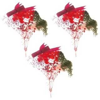 A-ONE 匯旺 浮游花DIY花材包 Set 3，天然植物乾燥花, H45 紅粉細語 彩色