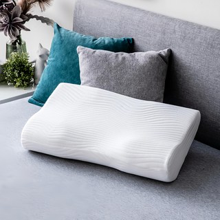 HOLA 和樂家居 防螨抗菌記憶枕, 正側兩用型, 1個