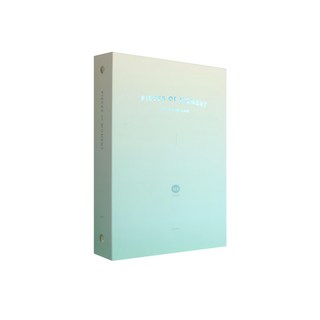 Iconic Pieces Of Moment 拍立得漸層相簿 40頁 165x215x40 毫米, 薄荷綠色, 1本