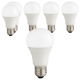 EVERLIGHT 億光 超節能LED球泡燈 9W, 自然光, 6顆