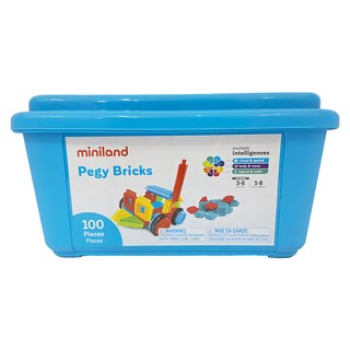 Miniland 統感鬃毛積木組 94p Set 刺激觸覺發展 發揮創意組裝不同造型 附手提箱, 1組