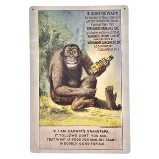 SCIENCE FACTORY 賽先生科學工廠 諷刺達爾文廣告 懷舊科學鐵皮牌, 34 x 30cm