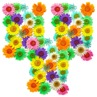 A-ONE 真花壓花 中花包 BB11 3入 1個, 百花爭豔 多色