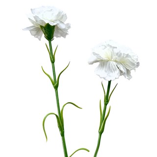 FLORAL M 手感保濕康乃馨優雅白仿真花材, 白色, 2個