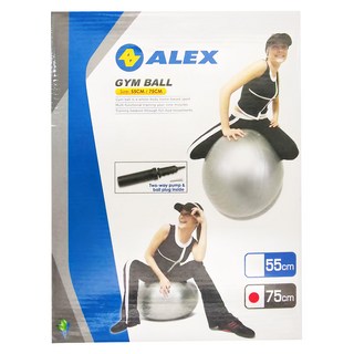 ALEX 丹力 健身球 55CM/75CM 1個, 直徑75cm, B-3075