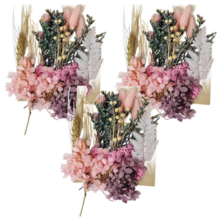 A-ONE 匯旺 乾燥花 Set 3個 DIY手工天然乾燥花材料包 植物鮮花製作, 紫色花園