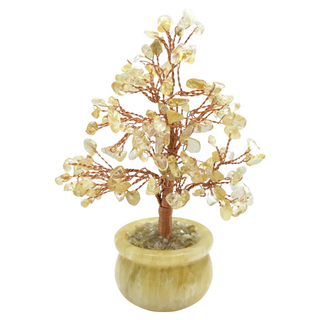 advance jewel 寶峻晶石館 迷你發財樹聚寶盆, 黃水晶, 220g