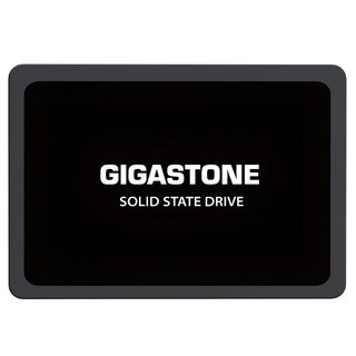 GIGASTONE 立達 2.5吋固態硬碟 SSD, Black, 1TB