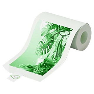 eSOONKids 顯色熱感紙 兒童相機紙捲 綠色, 3捲