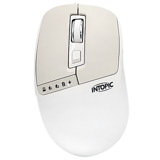 INTOPIC 廣鼎 滑行者無線雙模充電滑鼠 混和顏色, 人體工學設計, 靜音按鍵, MSW-D170-W