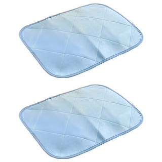 Betrise 貝翠絲 日系涼感紗輕薄型凝膠墊系列 枕墊 2個, 藍色, 涼感墊