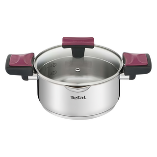 Tefal 特福 法國特福香頌不鏽鋼系列 雙耳湯鍋 附鍋蓋, 20cm, 單一顏色, 1組