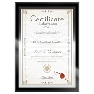 TRENY 玻璃A4獎狀框 單邊黑/雙邊銀/四角花銀/雙邊金/四角花金, 34.1 x 24.9 x 0.7cm, 1個